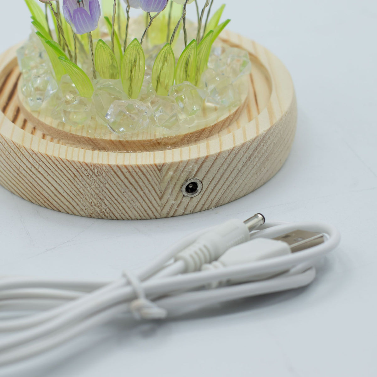 Lichtdekoration unter Glas – Bunte Tulpen · USB