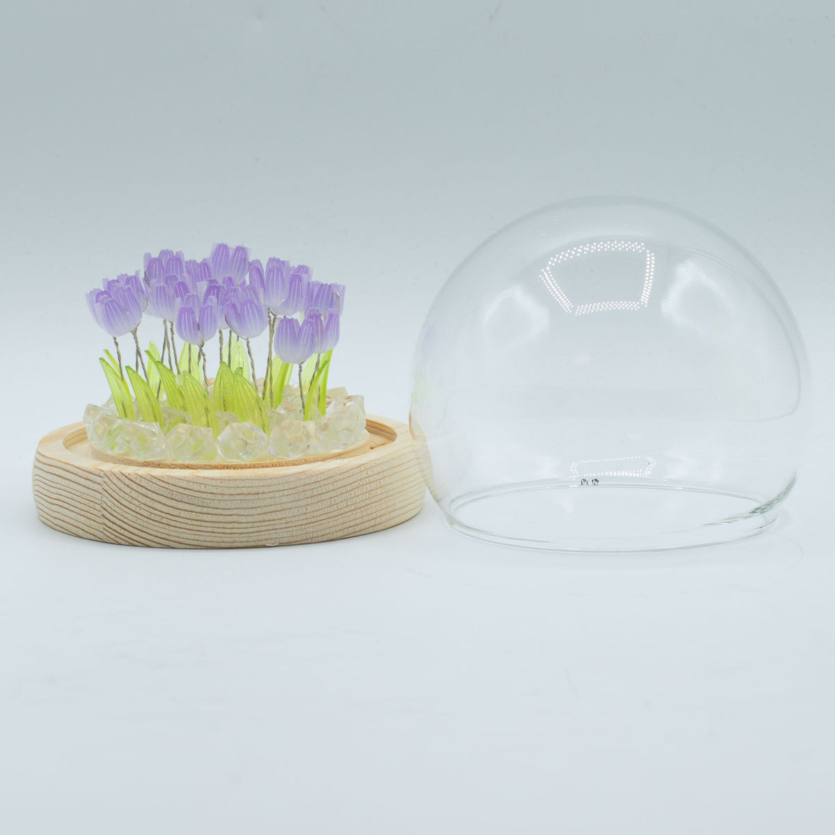 Lichtdekoration unter Glas – Tulpen · USB