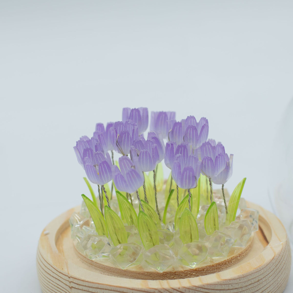 Lichtdekoration unter Glas – Tulpen · USB