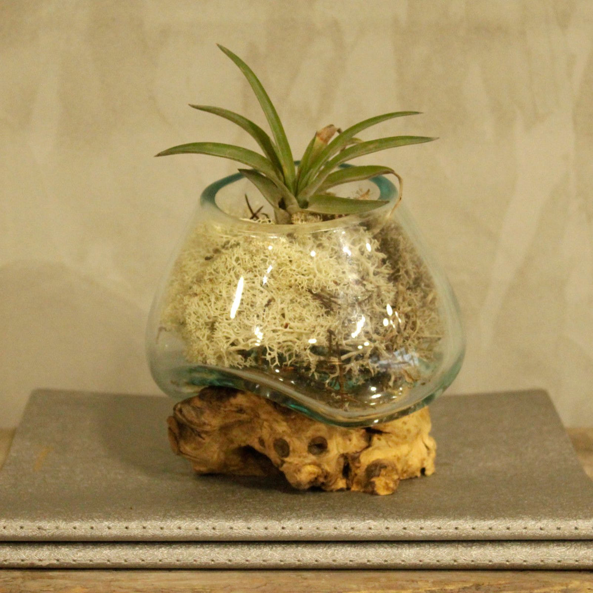 Glasschale auf Holz – klein