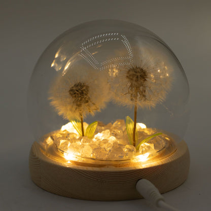 Lichtdekoration unter Glas – Zwei Löwenzahnblüten · USB