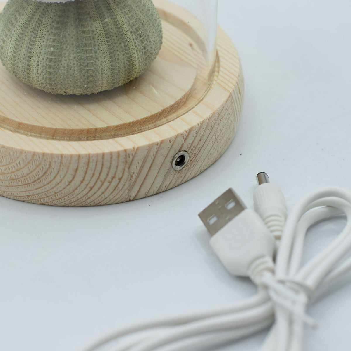 Lichtdekoration unter Glas – Meeresmotiv · USB