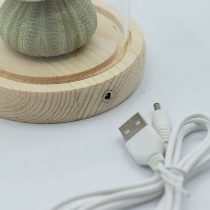 Lichtdekoration unter Glas – Meeresmotiv · USB